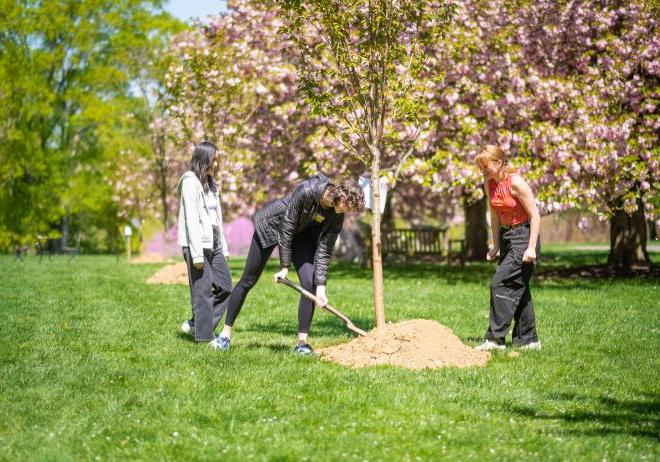 Three students standing next to a tree